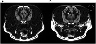 Single-slab 3D double inversion recovery for magnetic resonance brain imaging in clinically healthy dogs